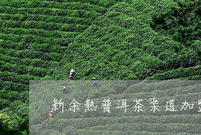 新余熟普洱茶渠道加盟/2023061438159