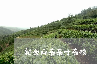 新余白茶茶叶茶楼/2023062139593