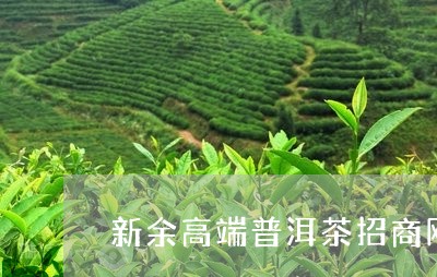 新余高端普洱茶招商网/2023092573938