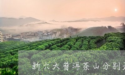 新六大普洱茶山分别是/2023061408304