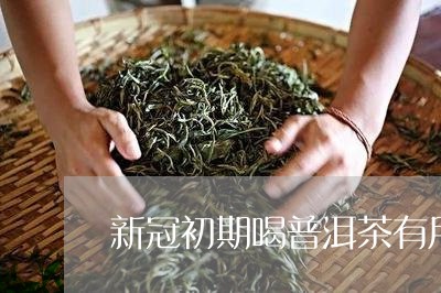 新冠初期喝普洱茶有用吗/2023112833926