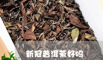 新冠普洱茶好吗/2023112619493