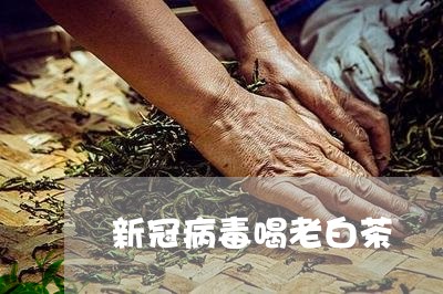 新冠病毒喝老白茶/2023062102928