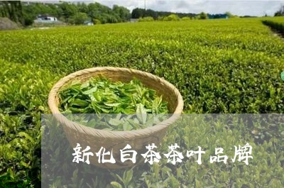 新化白茶茶叶品牌/2023062154948