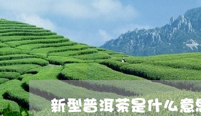 新型普洱茶是什么意思/2023062938360