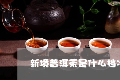 新境普洱茶是什么档次/2023093063049