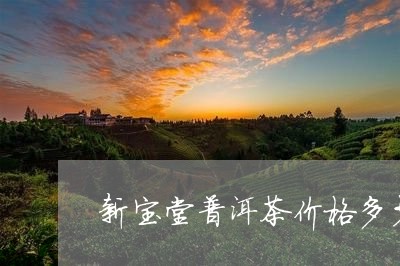 新宝堂普洱茶价格多少/2023121643704