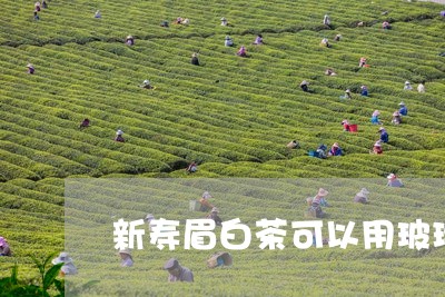 新寿眉白茶可以用玻璃杯冲泡吗/2023111450582