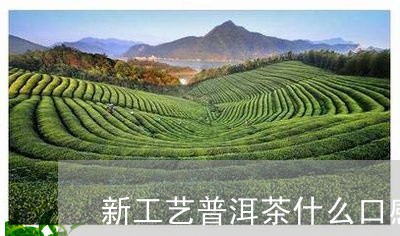 新工艺普洱茶什么口感好/2023120779603