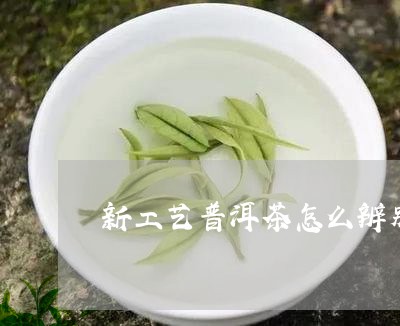 新工艺普洱茶怎么辨别/2023062099693