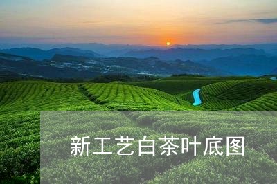 新工艺白茶叶底图/2023062107048