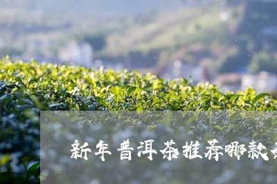 新年普洱茶推荐哪款茶叶好/2023112584767