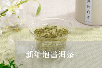 新年泡普洱茶/2023042657291