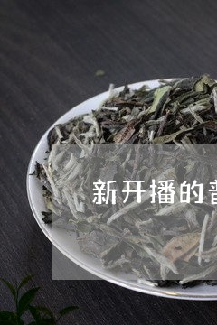 新开播的普洱茶直播间/2023101714259