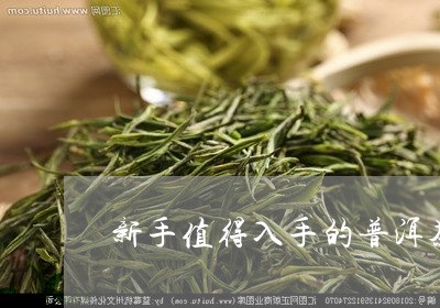 新手值得入手的普洱茶/2023080369482