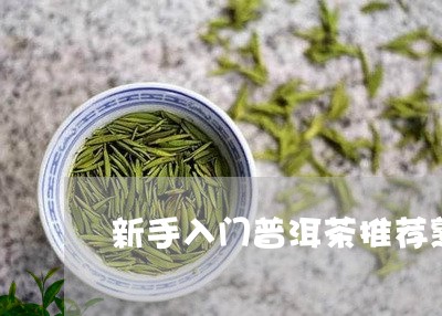 新手入门普洱茶推荐熟茶/2023110635247