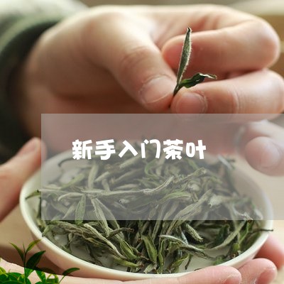 新手入门茶叶/2023042962823