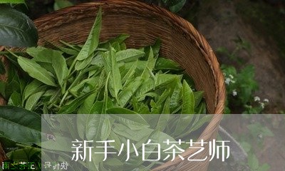 新手小白茶艺师/2023060122139