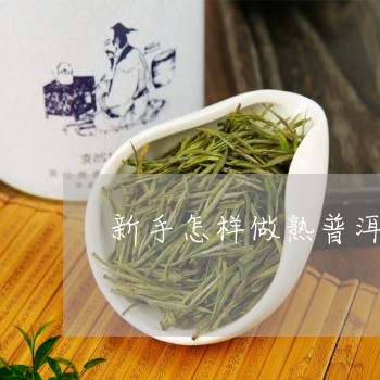 新手怎样做熟普洱茶饼子/2023082714827