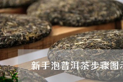 新手泡普洱茶步骤图示视频/2023121689513