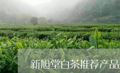 新旭堂白茶推荐产品是什么/2023111515837