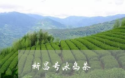 新昌号冰岛茶/2023090750636