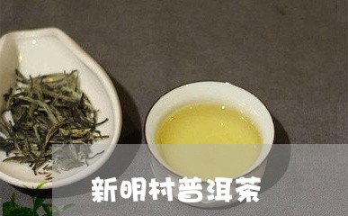 新明村普洱茶/2023112636291