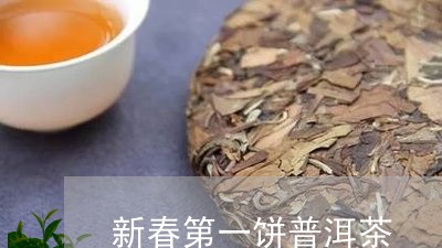 新春第一饼普洱茶/2023101647279