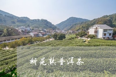 新晃熟普洱茶/2023042654727