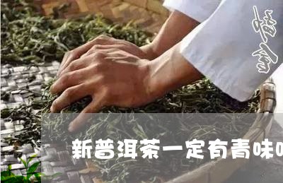 新普洱茶一定有青味吗/2023061593028