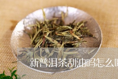 新普洱茶刮油吗怎么喝/2023110694926