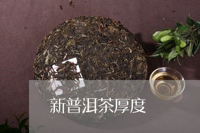 新普洱茶厚度/2023042763492