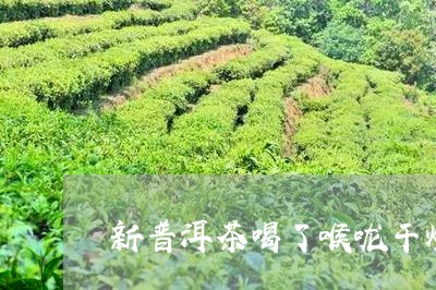 新普洱茶喝了喉咙干燥/2023073155150