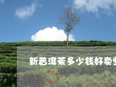 新普洱茶多少钱好卖些啊/2023081471815