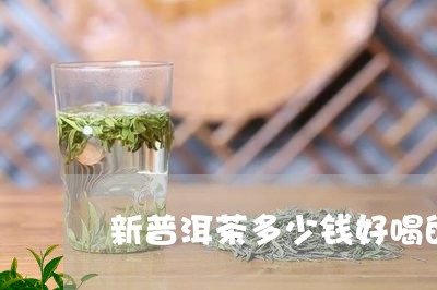 新普洱茶多少钱好喝的/2023082942838