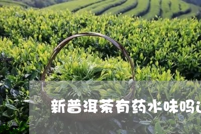 新普洱茶有药水味吗还能喝吗/2023052903825