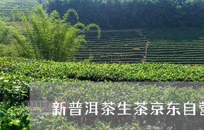 新普洱茶生茶京东自营/2023100773718