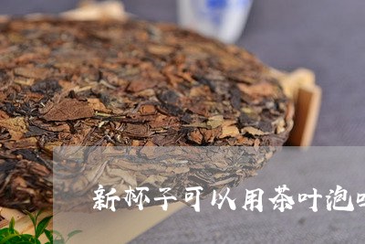 新杯子可以用茶叶泡吗/2023092355058