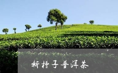 新槽子普洱茶/2023042669176