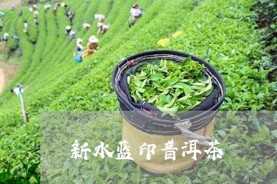 新水蓝印普洱茶/2023120360704