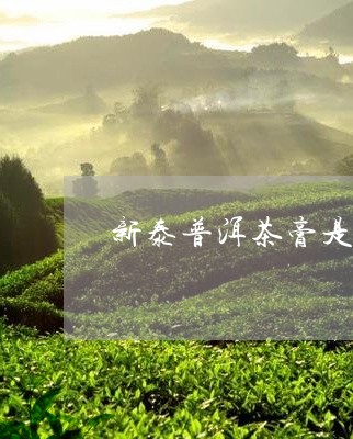 新泰普洱茶膏是真的吗/2023062221715