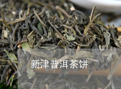 新津普洱茶饼/2023042626486