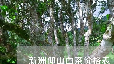 新洲仰山白茶价格表/2023082698460