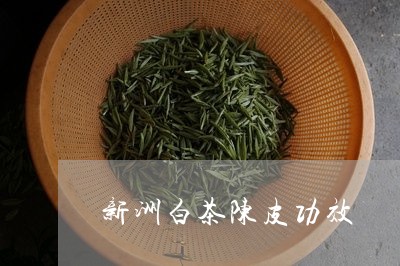 新洲白茶陈皮功效/2023062197170