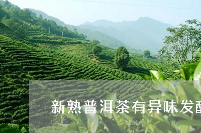 新熟普洱茶有异味发酸/2023093056361