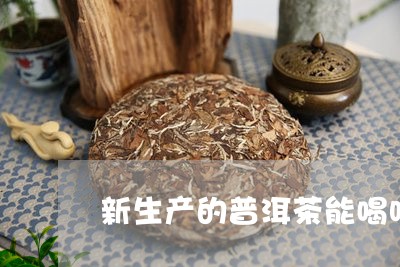 新生产的普洱茶能喝吗/2023061664827