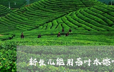 新生儿能用茶叶水擦嘴/2023092388261