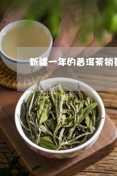 新疆一年的普洱茶销量/2023072492737