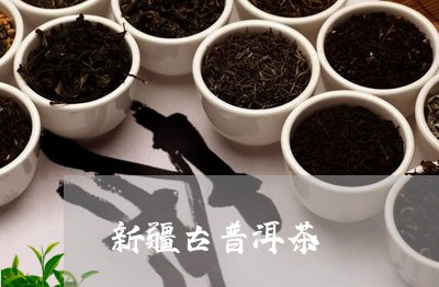 新疆古普洱茶/2023081838261