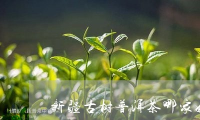 新疆古树普洱茶哪家好/2023110681728